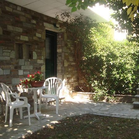 Ileana'S House Apartment Volos Exterior foto