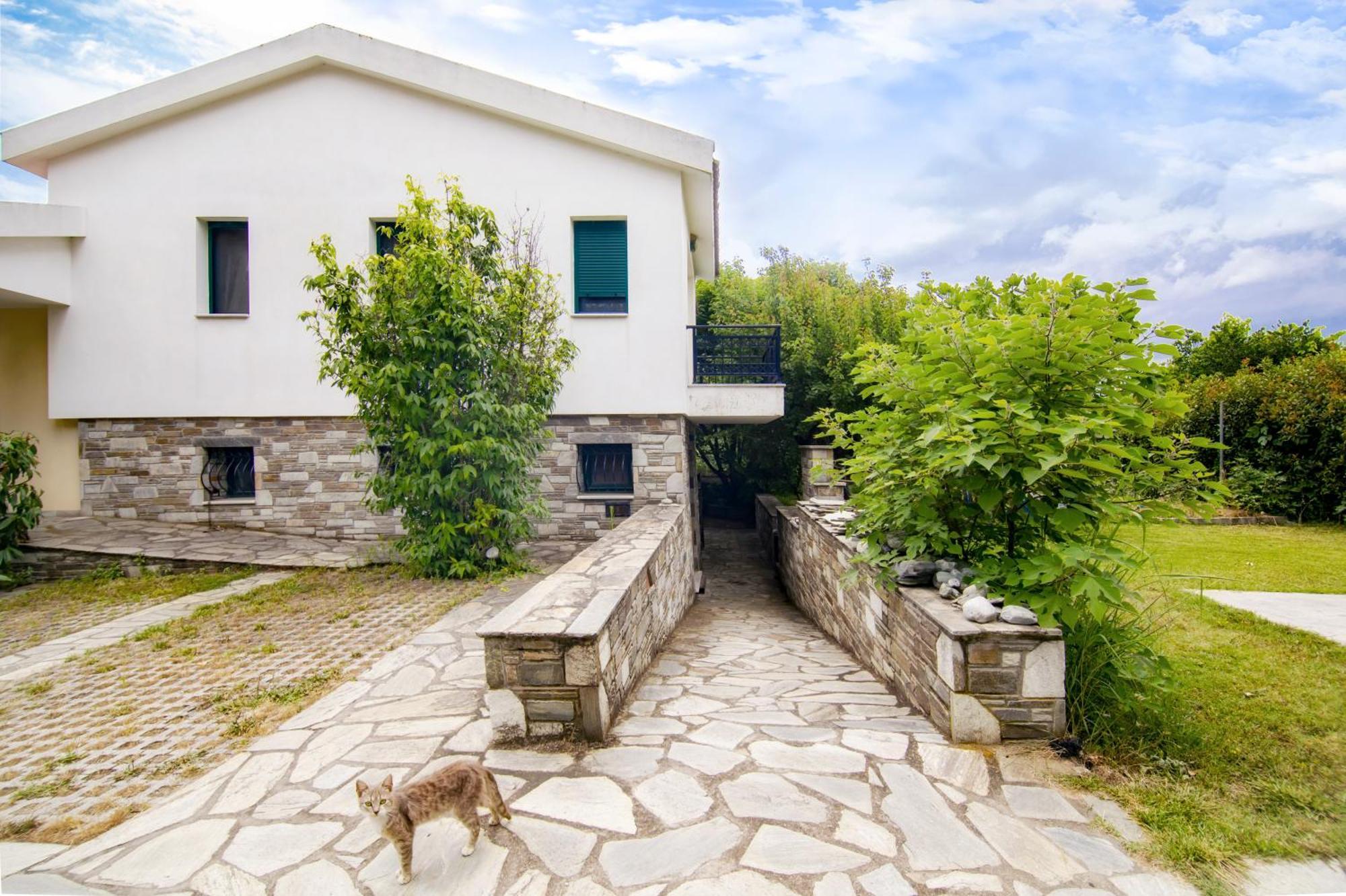 Ileana'S House Apartment Volos Exterior foto